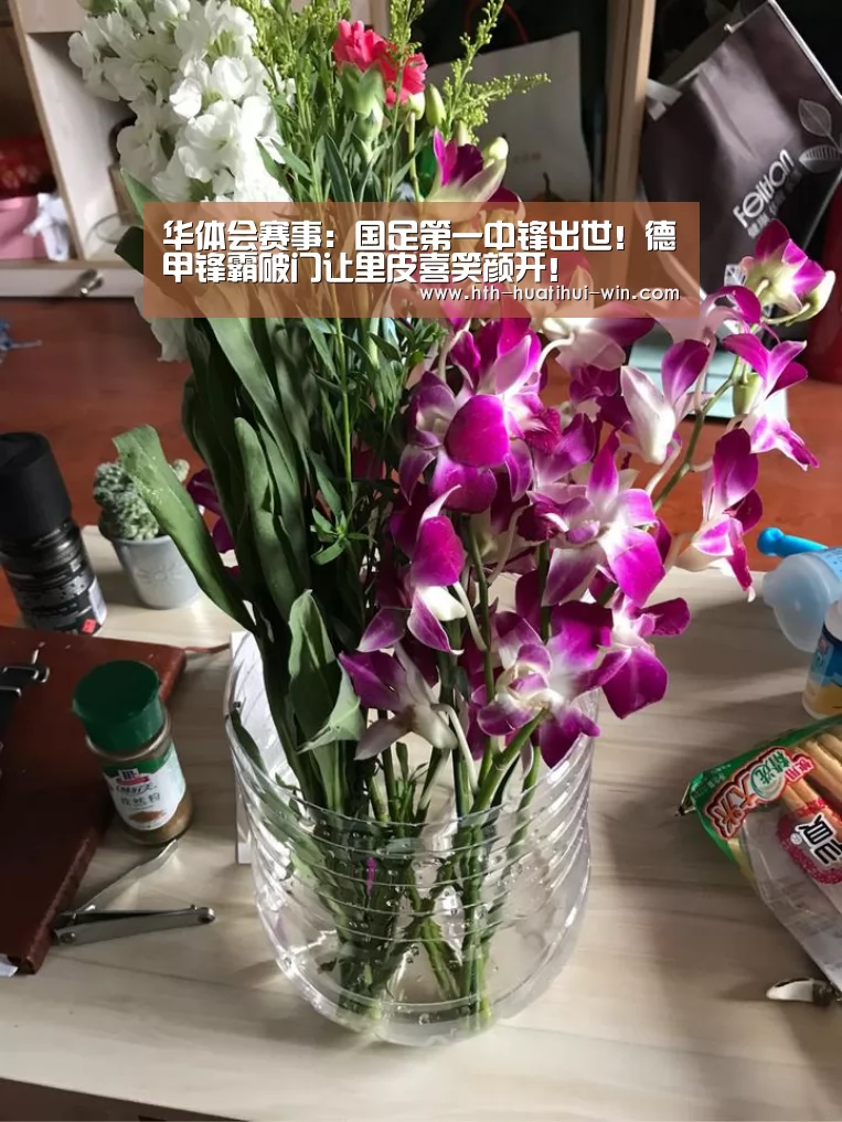 华体会赛事:国足第一中锋出世!德甲锋霸破门让里皮喜笑颜开!(图2) 华体会赛事
