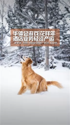 华体会游戏|花样年酒店业务轻资产运作提速(图1) 华体会赛事