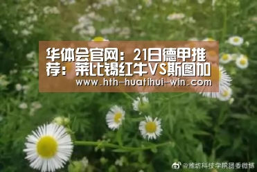 华体会官网:21日德甲推荐:莱比锡红牛VS斯图加特(图2) 华体会官网